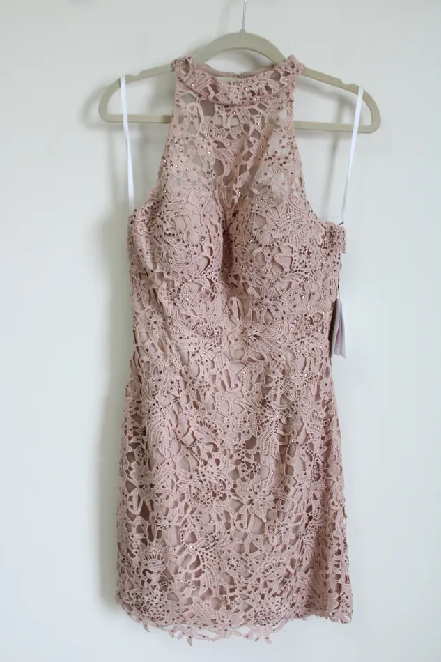 NEW Alyce Paris Rose Taupe Lace Pink Dress 8 Alyce Earrings
