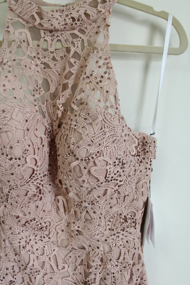 NEW Alyce Paris Rose Taupe Lace Pink Dress 8 Alyce Earrings