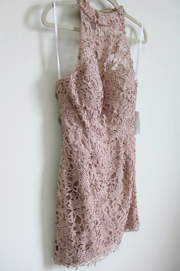 NEW Alyce Paris Rose Taupe Lace Pink Dress 8 Alyce Earrings