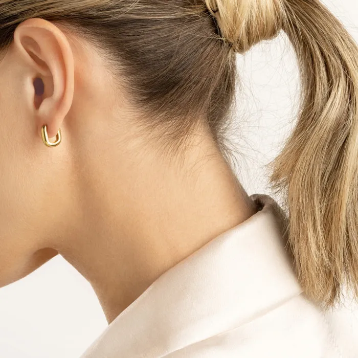Small Rectangle Hoop Earrings Alexis Jae Earrings