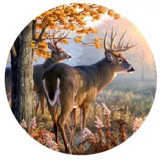 CT17 Deer Coaster Iris Fashion Jewelry Earrings