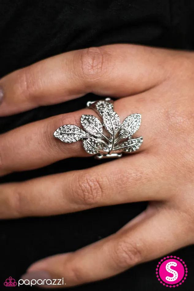 Paparazzi Jewelry Rings Paparazzi Ring Frosted Forest Silver