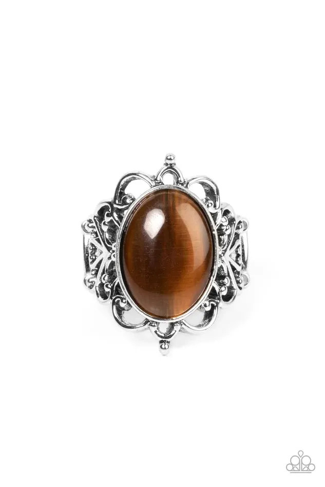 Paparazzi Jewelry Rings Paparazzi Ring Radiantly Reminiscent Brown