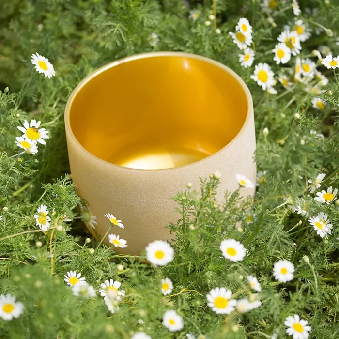 Rings Life Changing Energy 8 Inch Gold Color Frosted Quartz Crystal Singing Bowl FREE Mallet and Oring Rings Life Changing Energy 8 Inch Gold Color Frosted Quartz Crystal Singing Bowl FREE Mallet and Oring