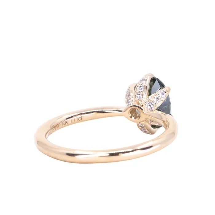 171ct Precision Cut Oval Montana Sapphire Diamondstudded Sea Star Solitaire in 14k Yellow Gold Americut Gems Earrings