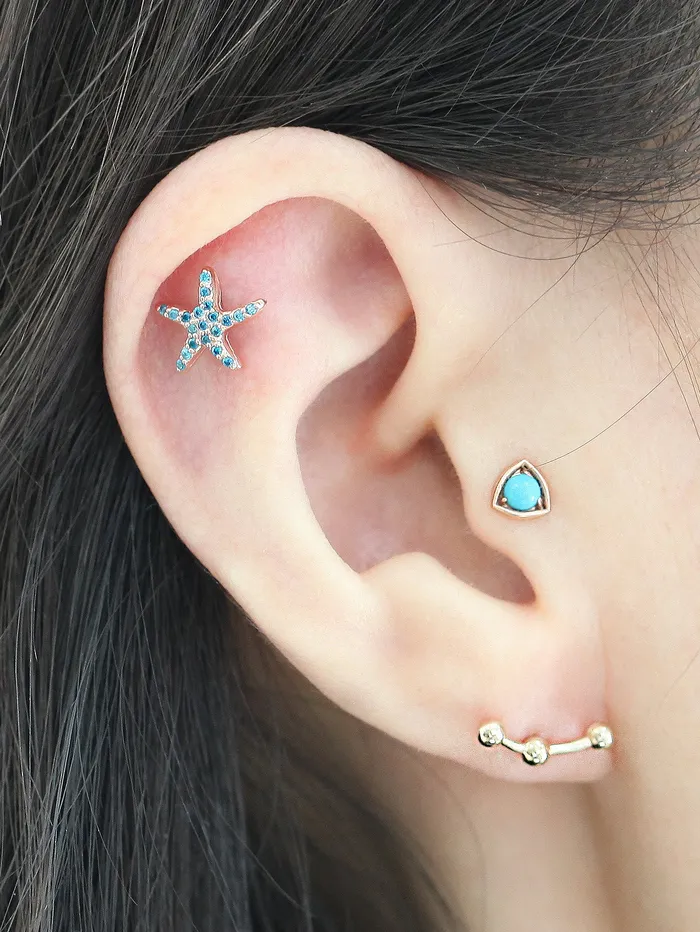 Earrings 14K Gold Starfish Cartilage Earring 18g16g MinimalBijoux