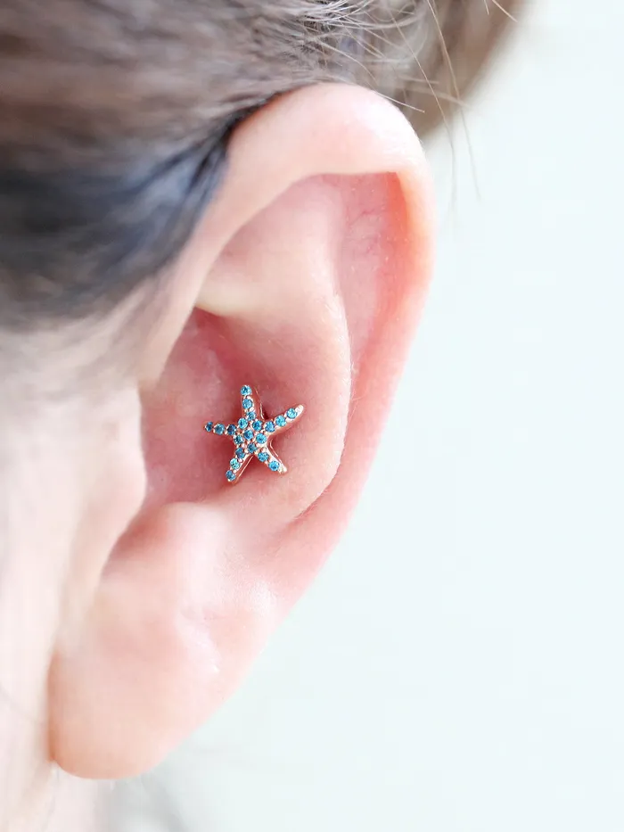 Earrings 14K Gold Starfish Cartilage Earring 18g16g MinimalBijoux