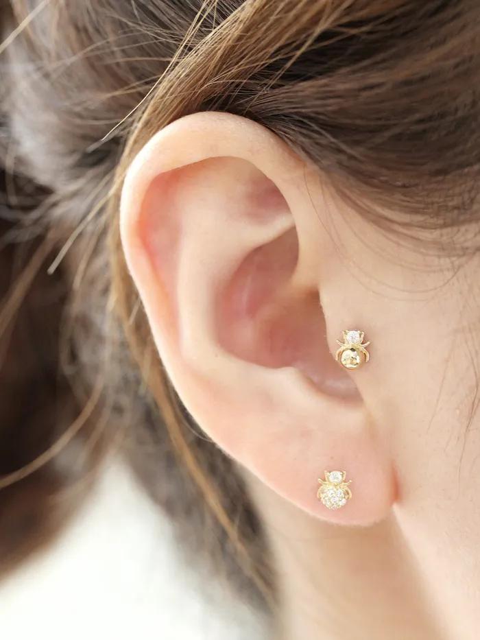 MinimalBijoux Earrings 14K gold Mini Spider cartilage earring 20g