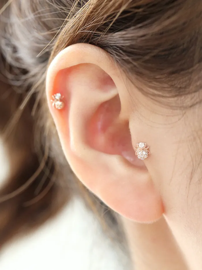 MinimalBijoux Earrings 14K gold Mini Spider cartilage earring 20g