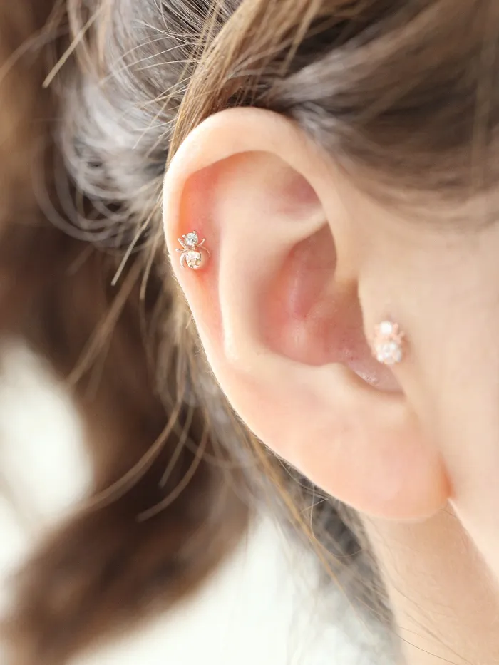 MinimalBijoux Earrings 14K gold Mini Spider cartilage earring 20g