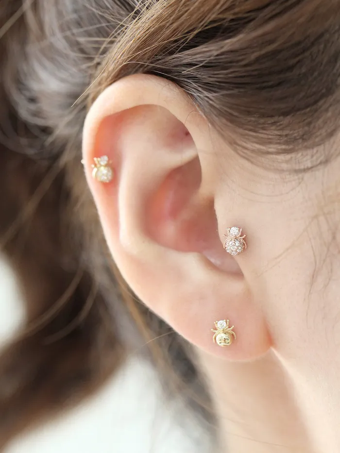 MinimalBijoux Earrings 14K gold Mini Spider cartilage earring 20g