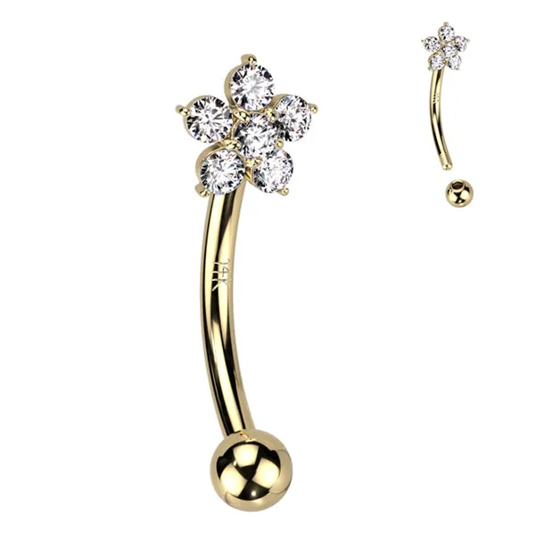 Tulsa Body Jewelry Earrings Flower CZ Yellow 14k Gold Eyebrow Barbell
